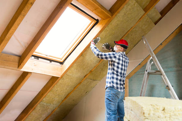 Types of Insulation We Offer in Altamonte Springs, FL